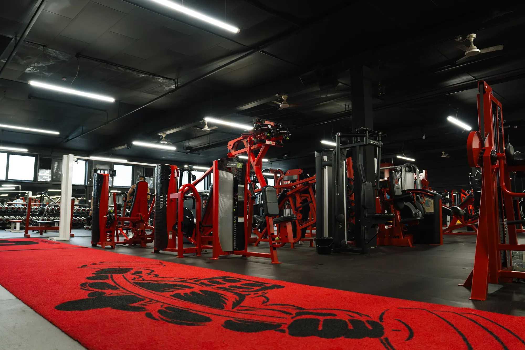 ULTRAFLEX WEST LONDON facility 4