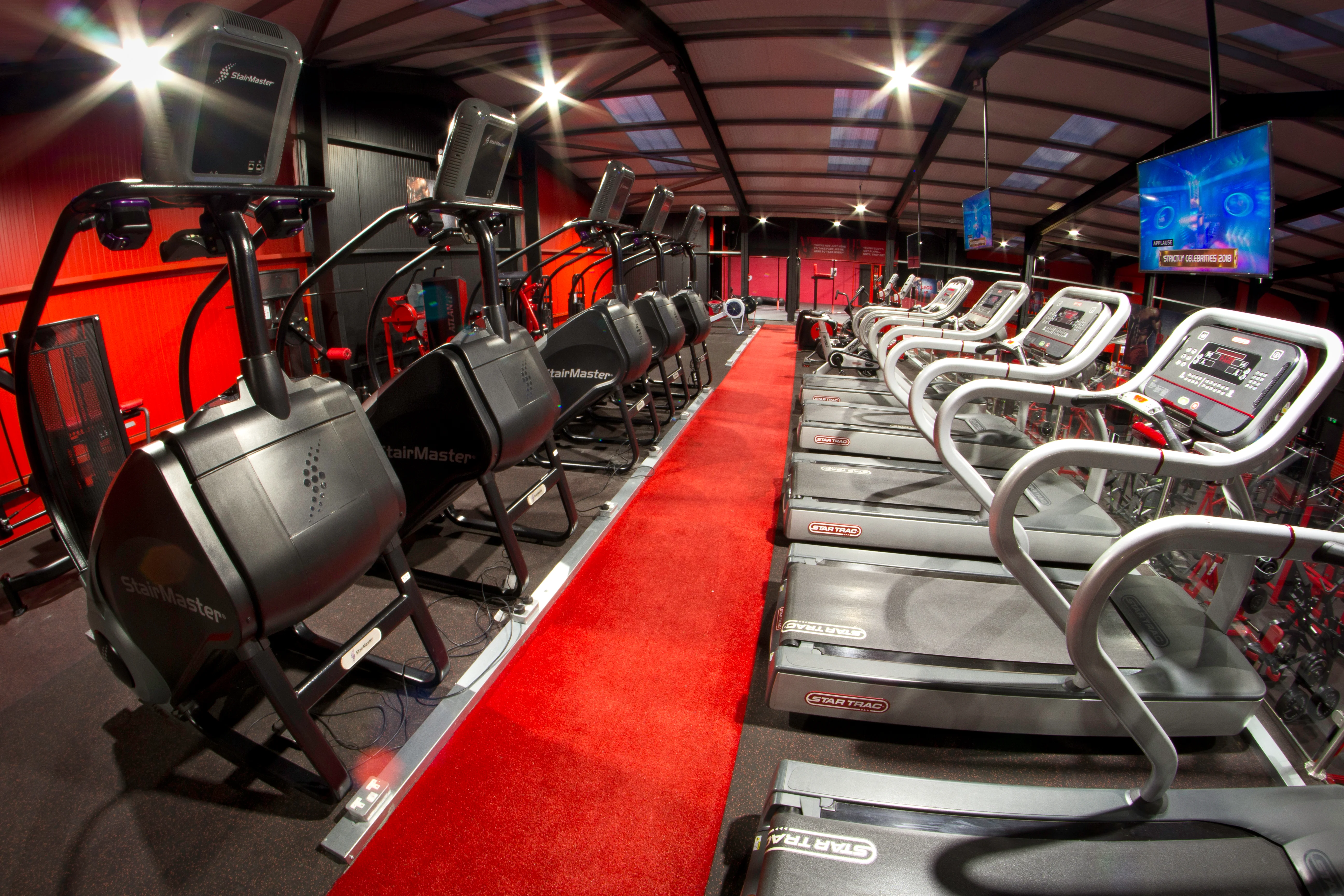 Strength vs. Cardio: The Ultimate ULTRAFLEX Showdown